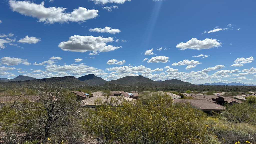 42107 N Mountain Cove Drive - Photo 0