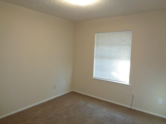 1736 Hazelwood Street - Photo 2