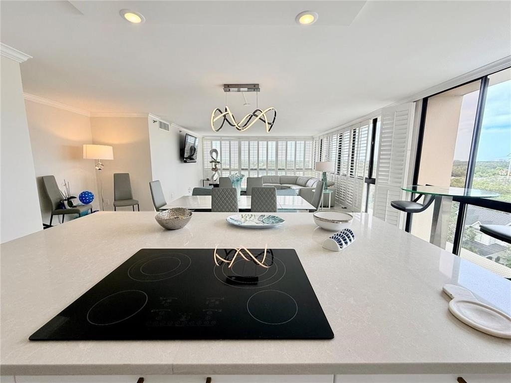 3301 Bayshore Boulevard - Photo 8