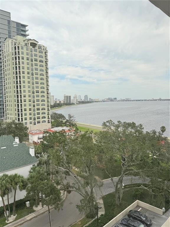 3301 Bayshore Boulevard - Photo 4