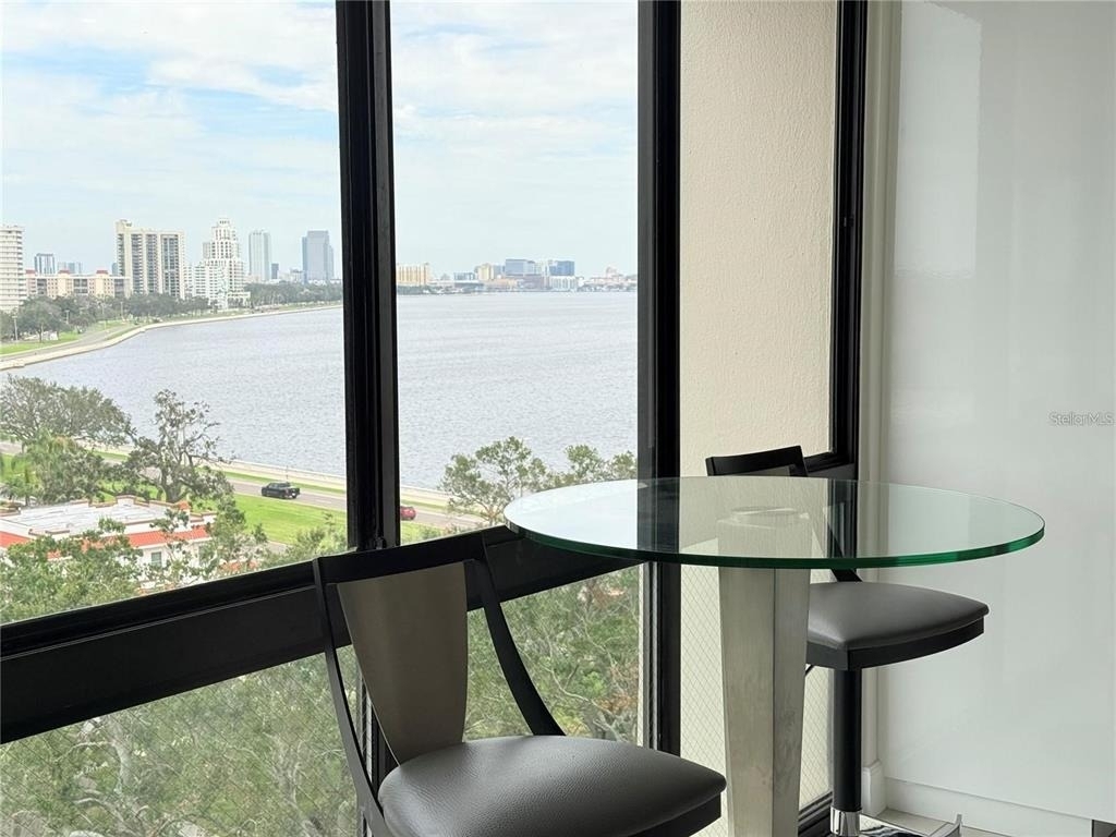 3301 Bayshore Boulevard - Photo 3