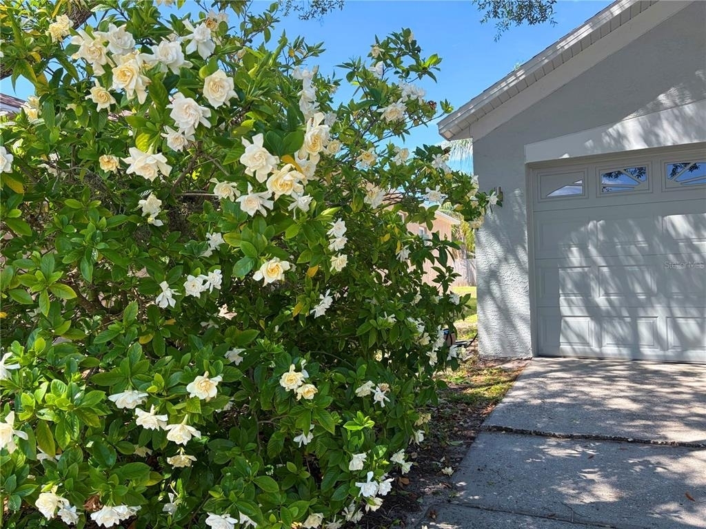 10327 Goldenbrook Way - Photo 2