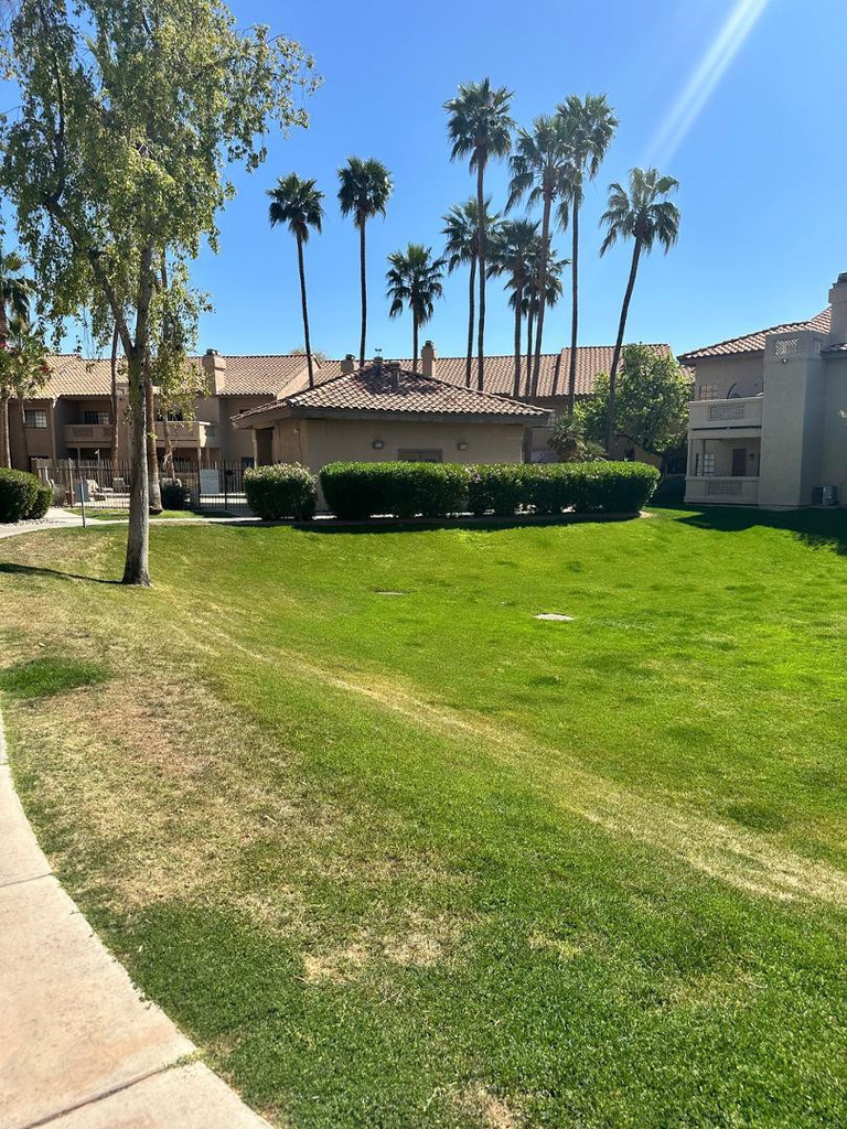 930 N Mesa Drive - Photo 19