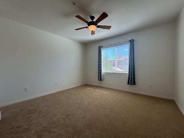 250 W Queen Creek Road - Photo 8