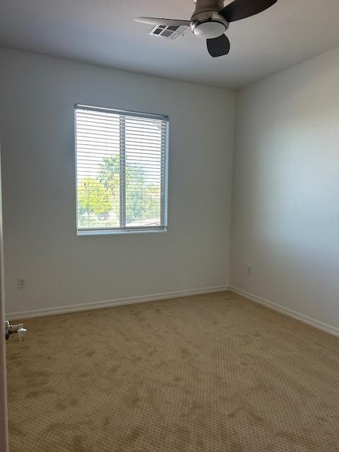 250 W Queen Creek Road - Photo 12
