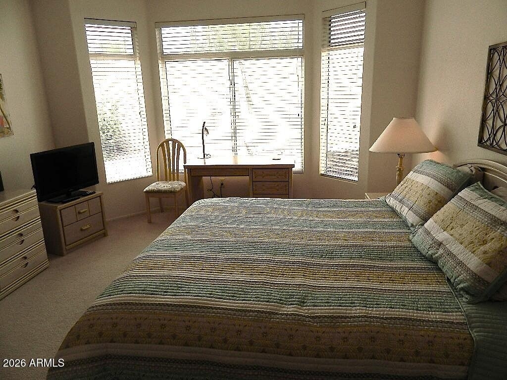 22520 N Via De La Caballa -- - Photo 10