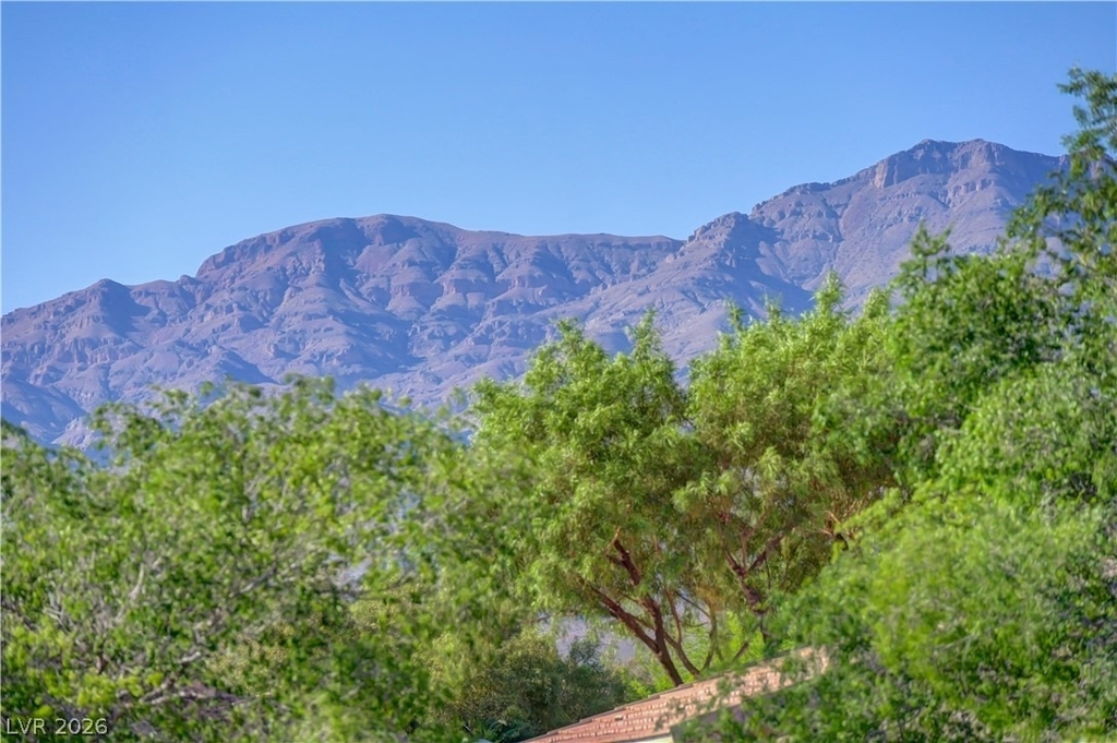 7368 Rietz Canyon Street - Photo 69