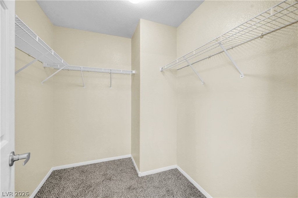 7368 Rietz Canyon Street - Photo 47