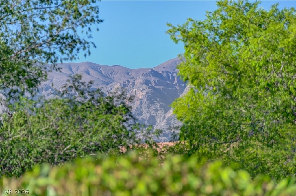 7368 Rietz Canyon Street - Photo 70