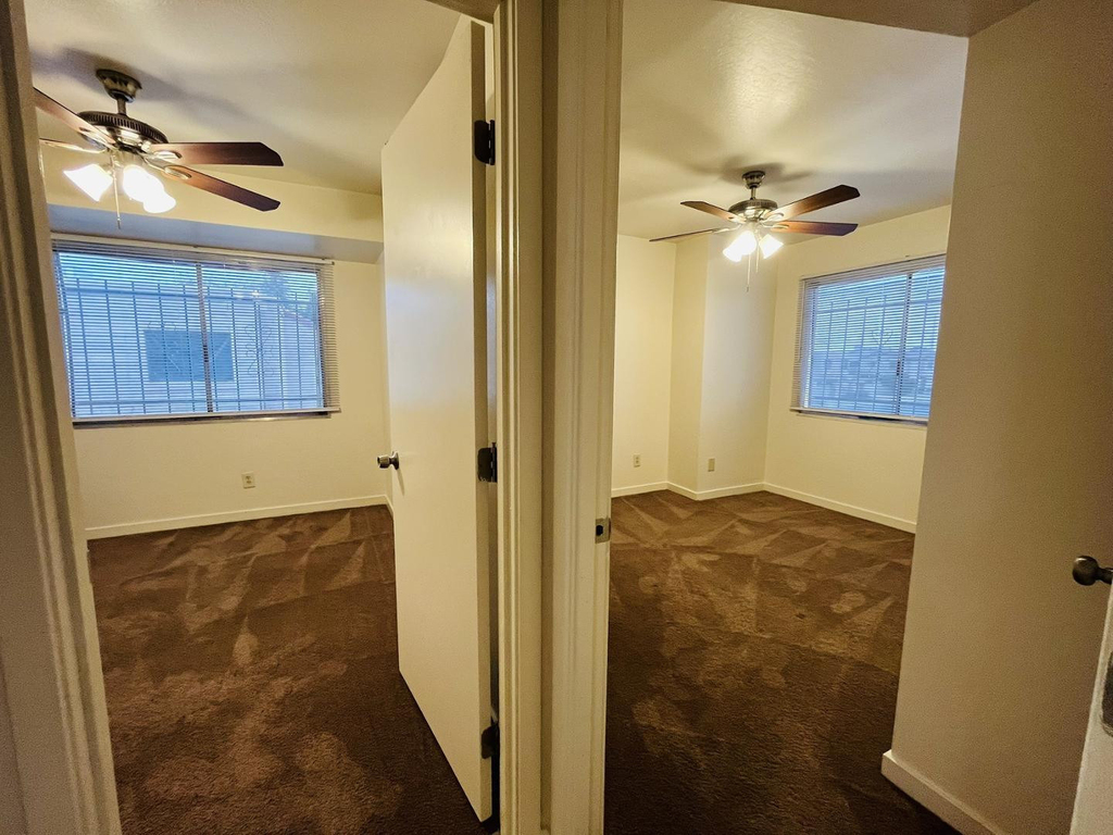 5041 N 40th Avenue - Photo 5