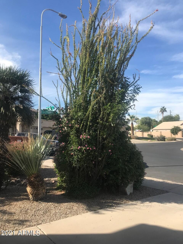 3924 E Yucca - Photo 1