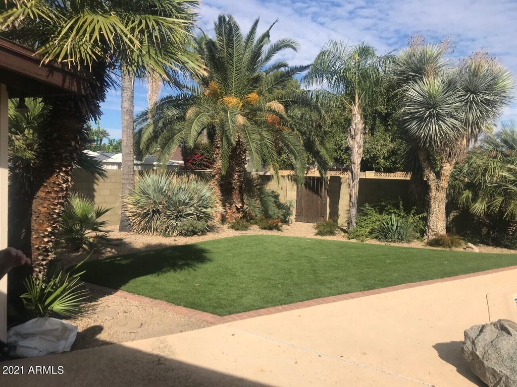 3924 E Yucca - Photo 8