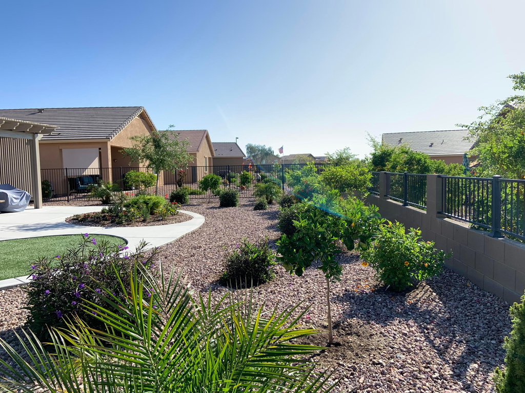 22407 W Morning Glory Street - Photo 31