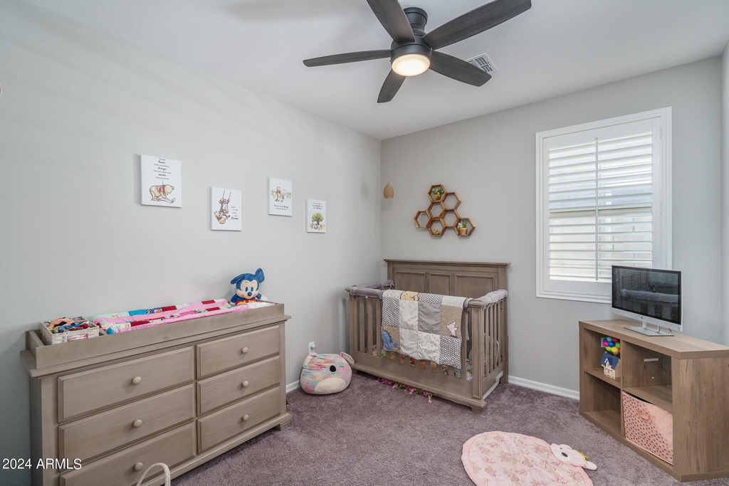 11987 S 172nd Avenue - Photo 15