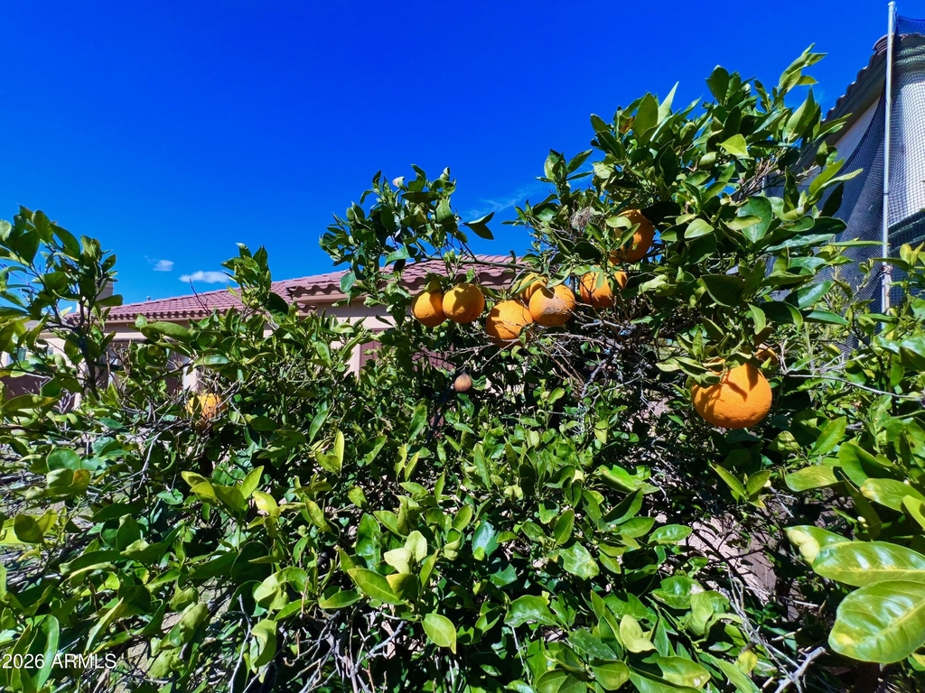 14313 W Alvarado Drive - Photo 21