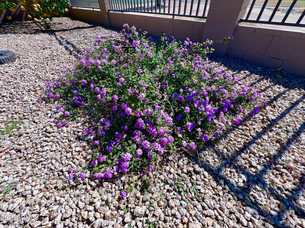14313 W Alvarado Drive - Photo 22