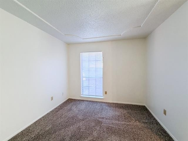 712 Pecan Street - Photo 18