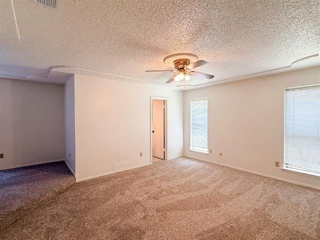 712 Pecan Street - Photo 15