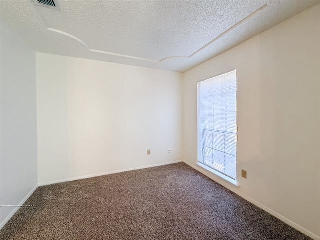 712 Pecan Street - Photo 19