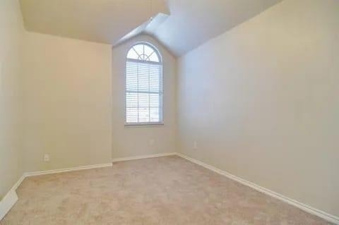 8729 Sunset Trace Drive - Photo 14