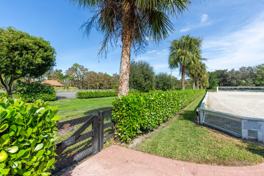 14943 Paddock Drive - Photo 6