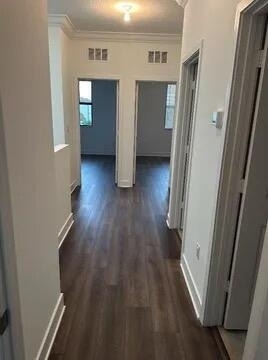 3016 King Palm Way - Photo 12