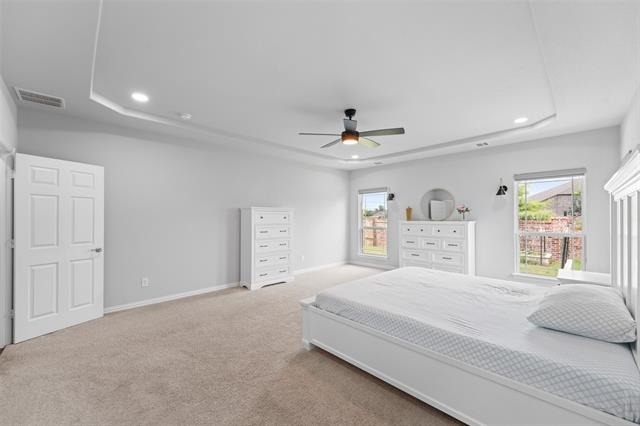 3217 Austin Bayou Trail - Photo 22