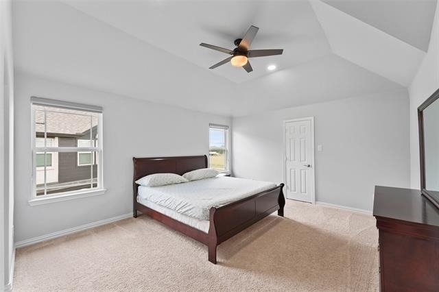 3217 Austin Bayou Trail - Photo 31