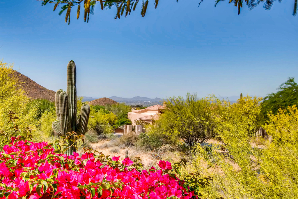 11015 E Desert Vista Drive - Photo 10