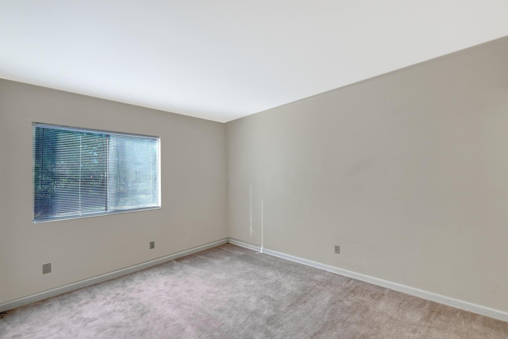 4208 Avenida Palermo -- - Photo 12