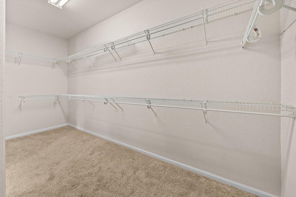206 Magnolia Lakes Boulevard - Photo 30
