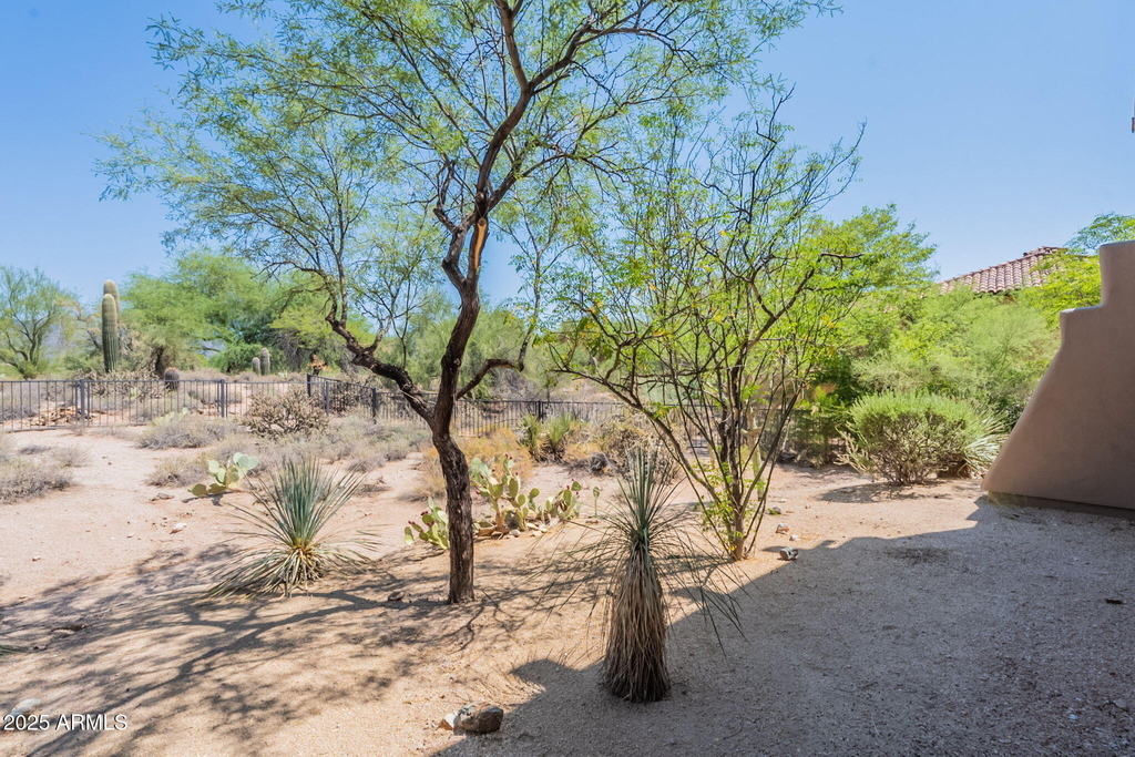 36601 N Mule Train Road - Photo 39