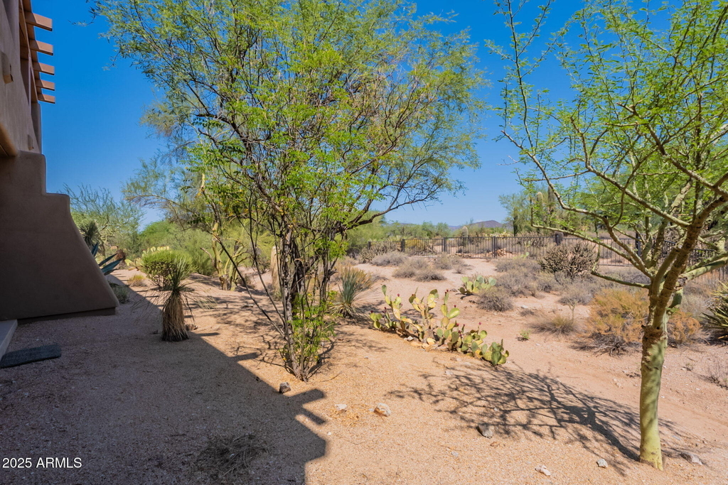 36601 N Mule Train Road - Photo 40