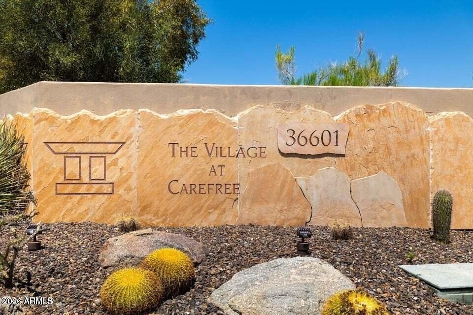 36601 N Mule Train Road - Photo 1
