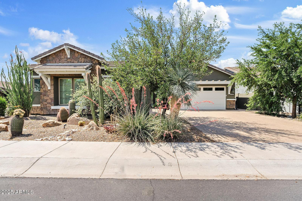 3123 E Cat Balue Drive - Photo 36