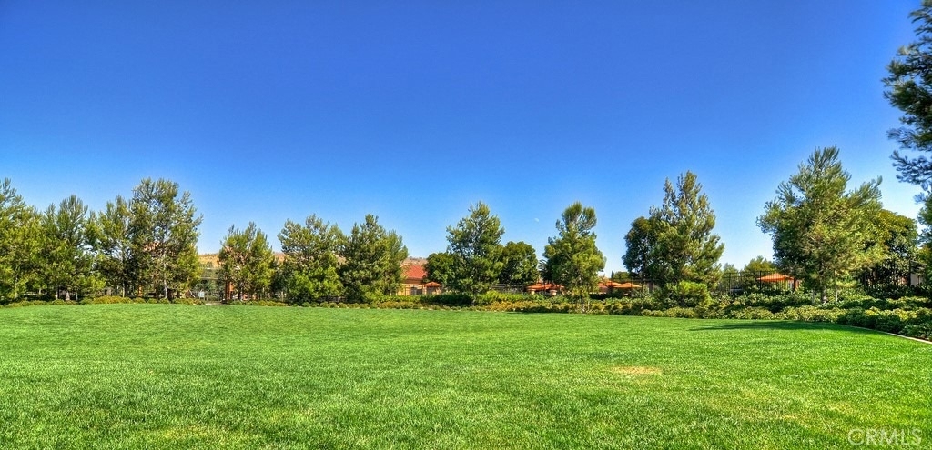 99 Lupari - Photo 34