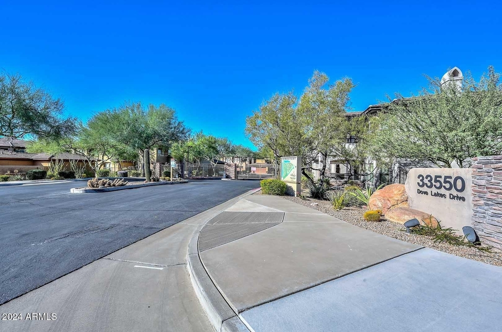33550 N Dove Lakes Drive - Photo 2