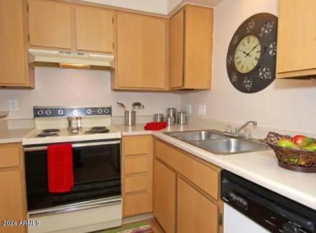 8344 N 67th Avenue - Photo 3