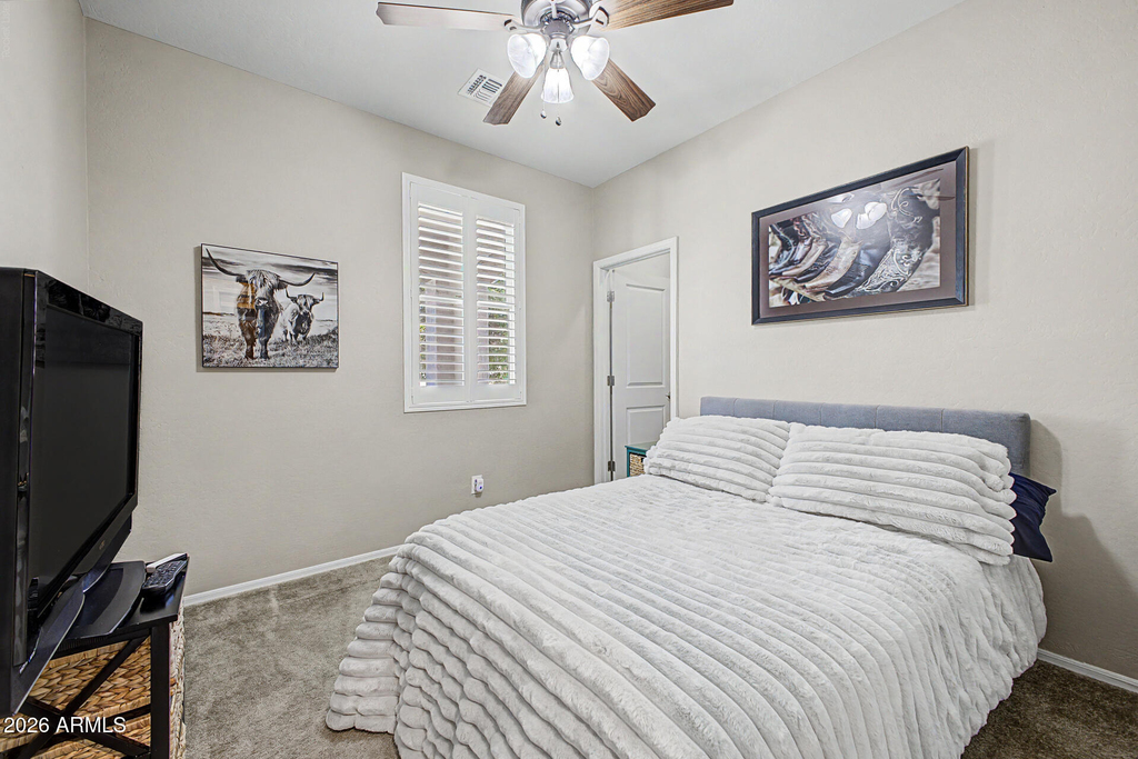 22469 E Camina Plata -- - Photo 43