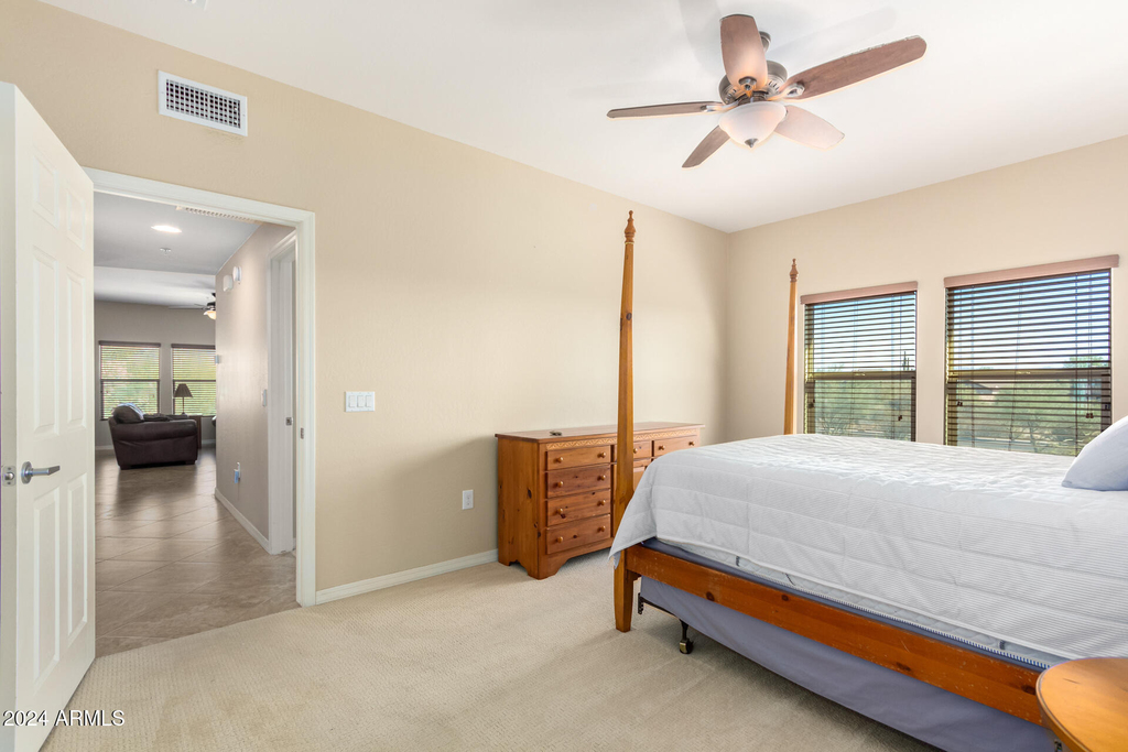 33575 N Dove Lakes Drive - Photo 20