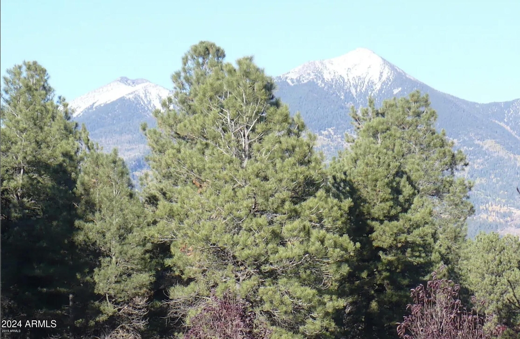 8950 W Antoinette Way - Photo 97