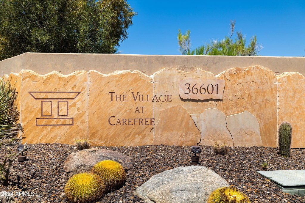 36601 N Mule Train Road - Photo 53