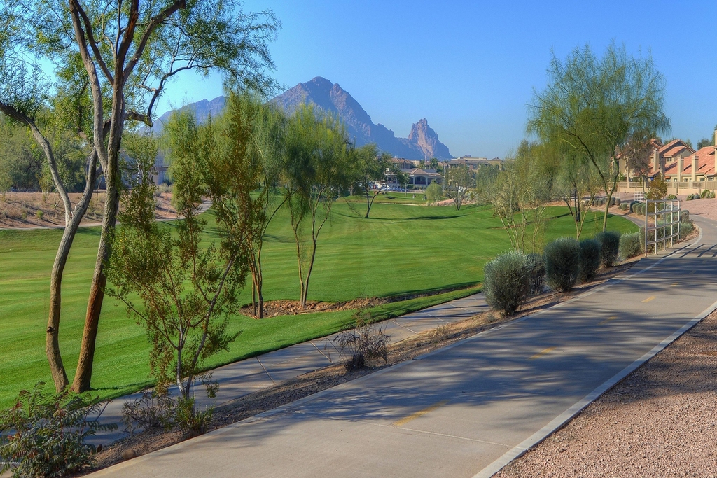 7893 E Joshua Tree Lane - Photo 16