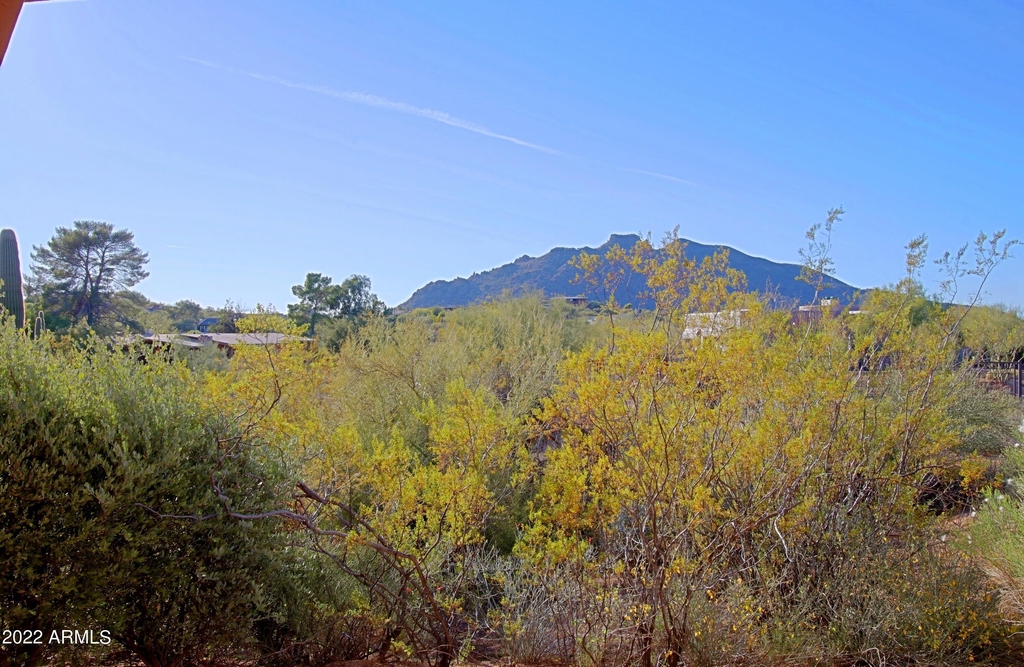 36601 N Mule Train Road - Photo 63