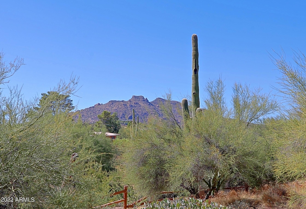 36601 N Mule Train Road - Photo 58