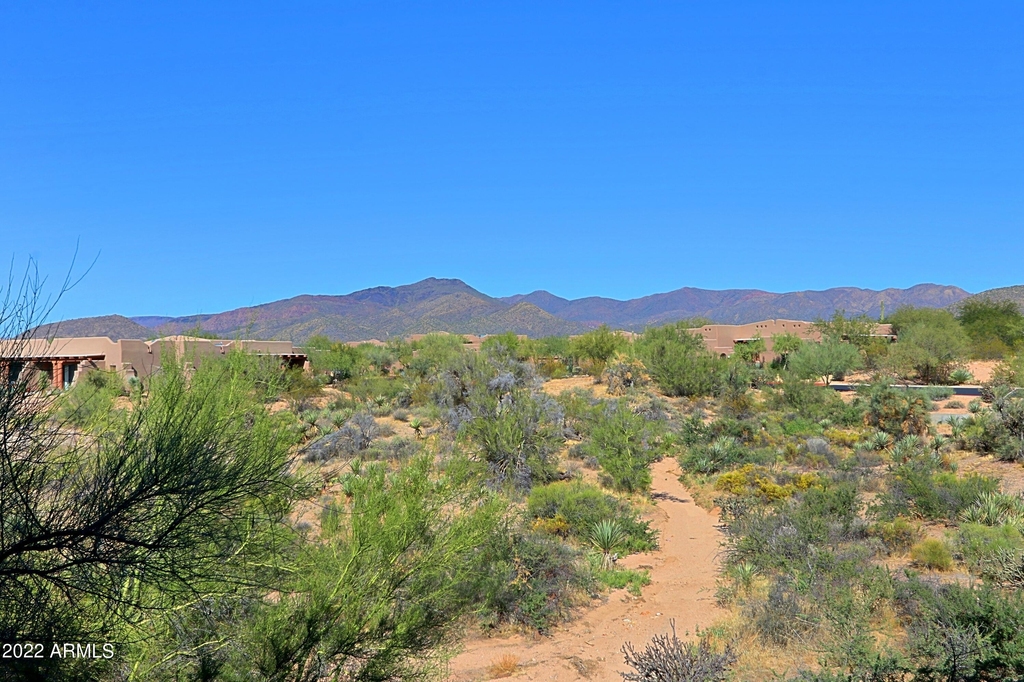 36601 N Mule Train Road - Photo 41