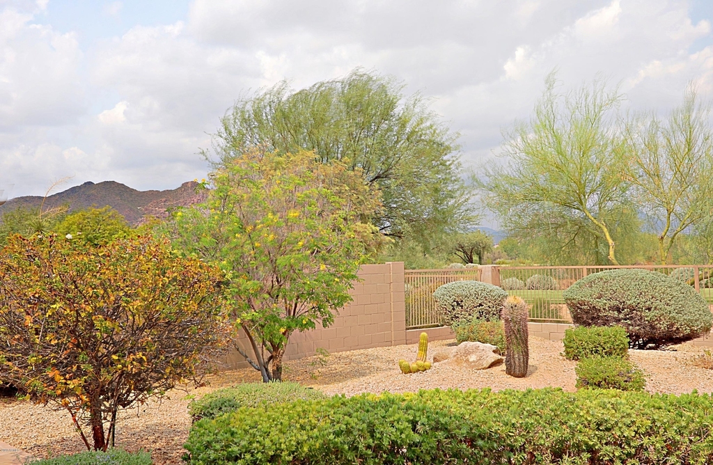 33571 N 70th Way - Photo 34