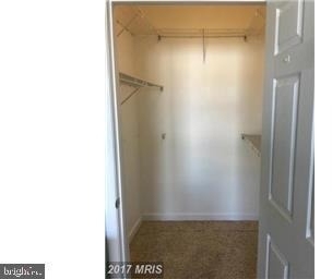 22607 Blue Elder Terrace - Photo 5
