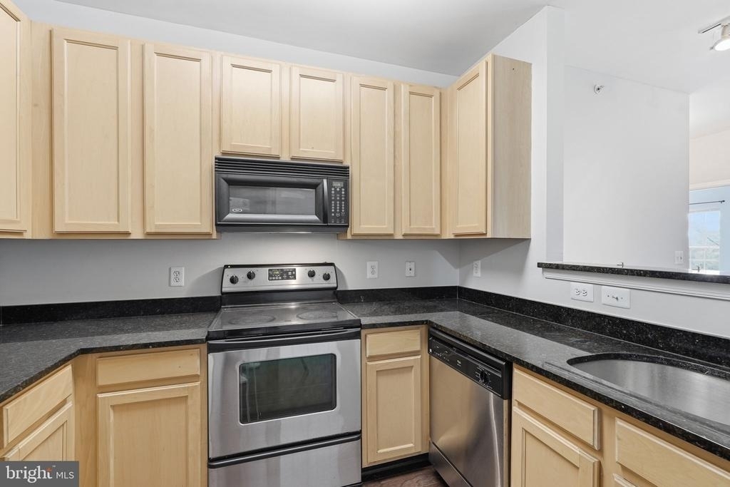 22607 Blue Elder Terrace - Photo 4
