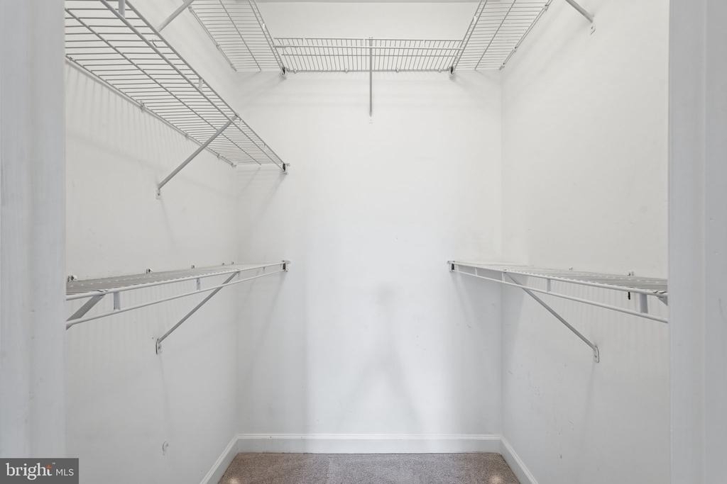 22607 Blue Elder Terrace - Photo 12